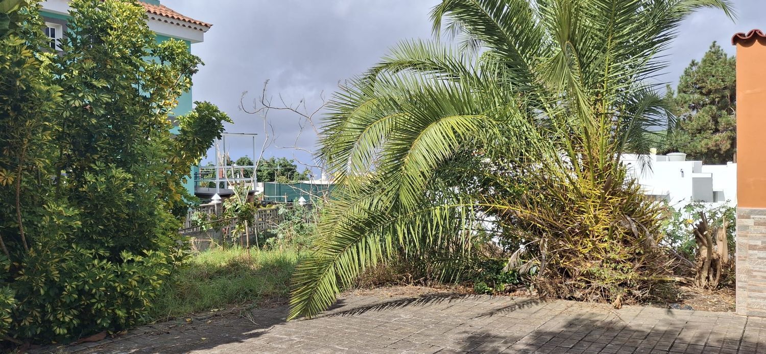 Fincas y solares-Venta-Arucas-1793288-Foto-5