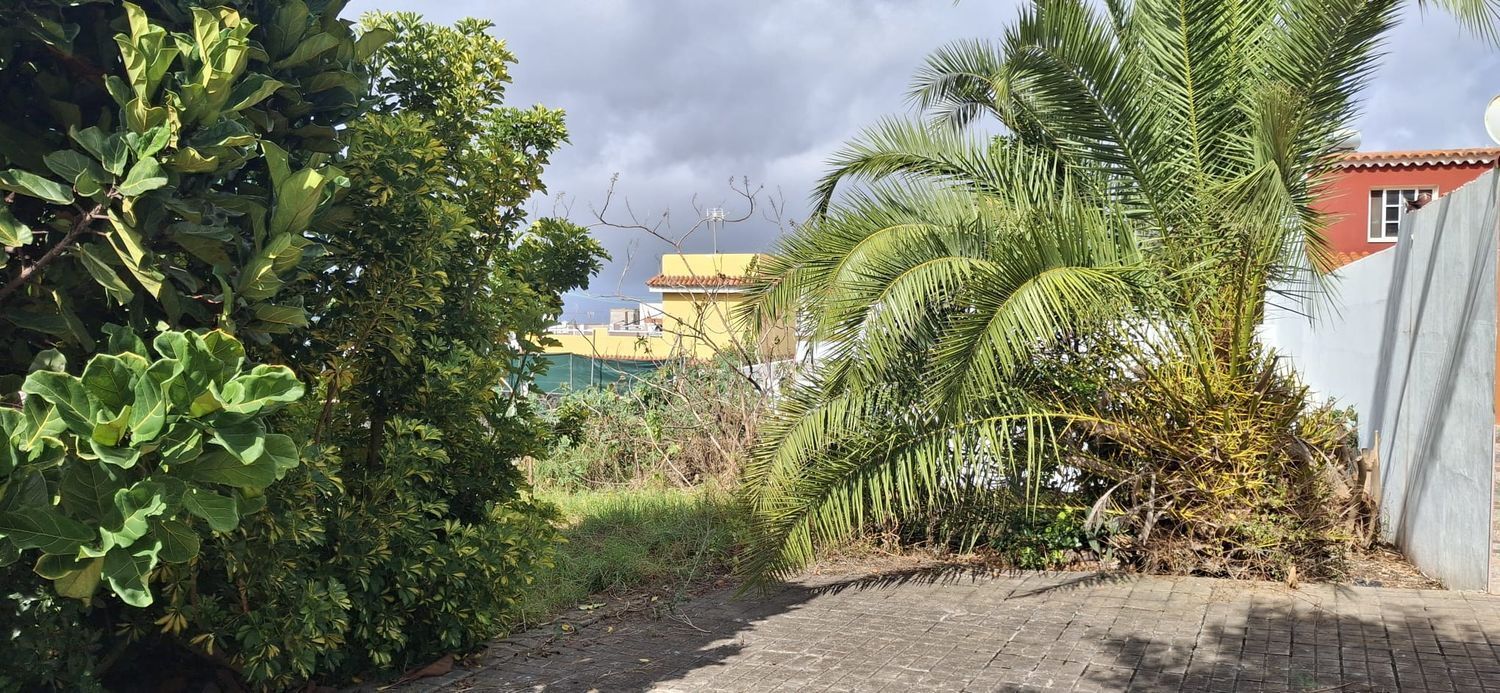 Fincas y solares-Venta-Arucas-1793288-Foto-2