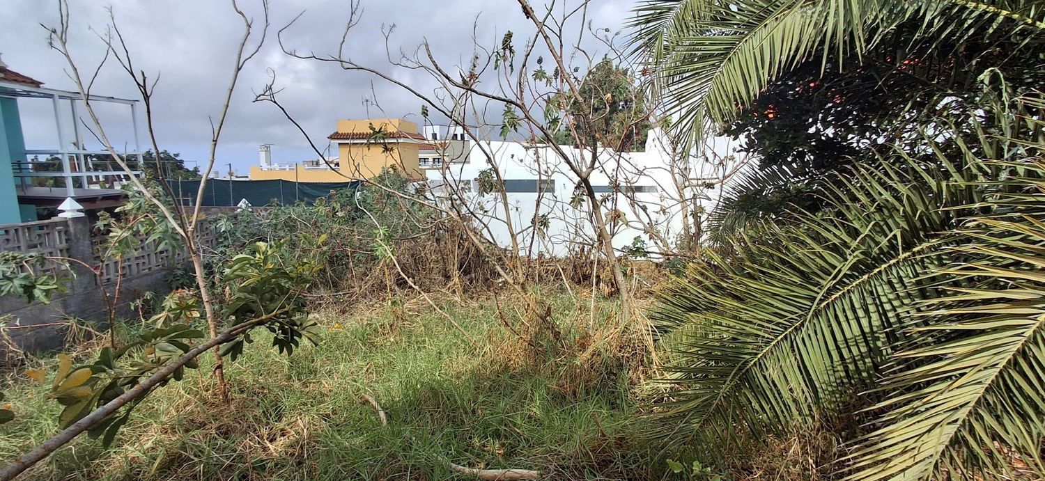 Fincas y solares-Venta-Arucas-1793288-Foto-8
