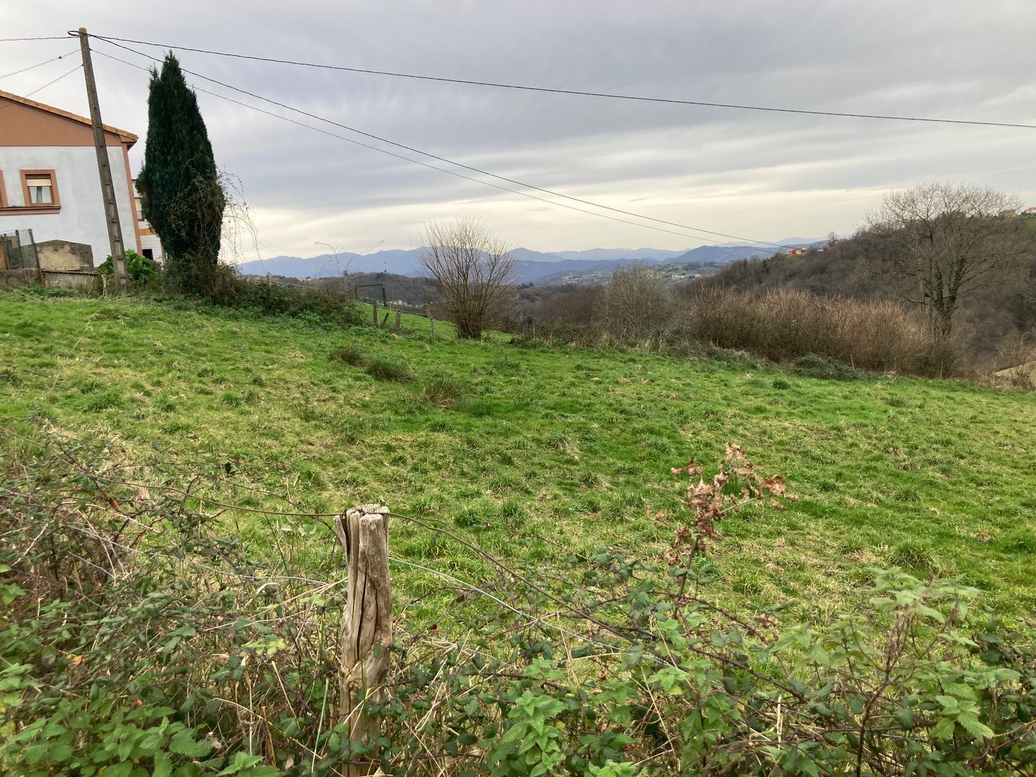 Fincas y solares-Venta-Bimenes-1080237-Foto-9