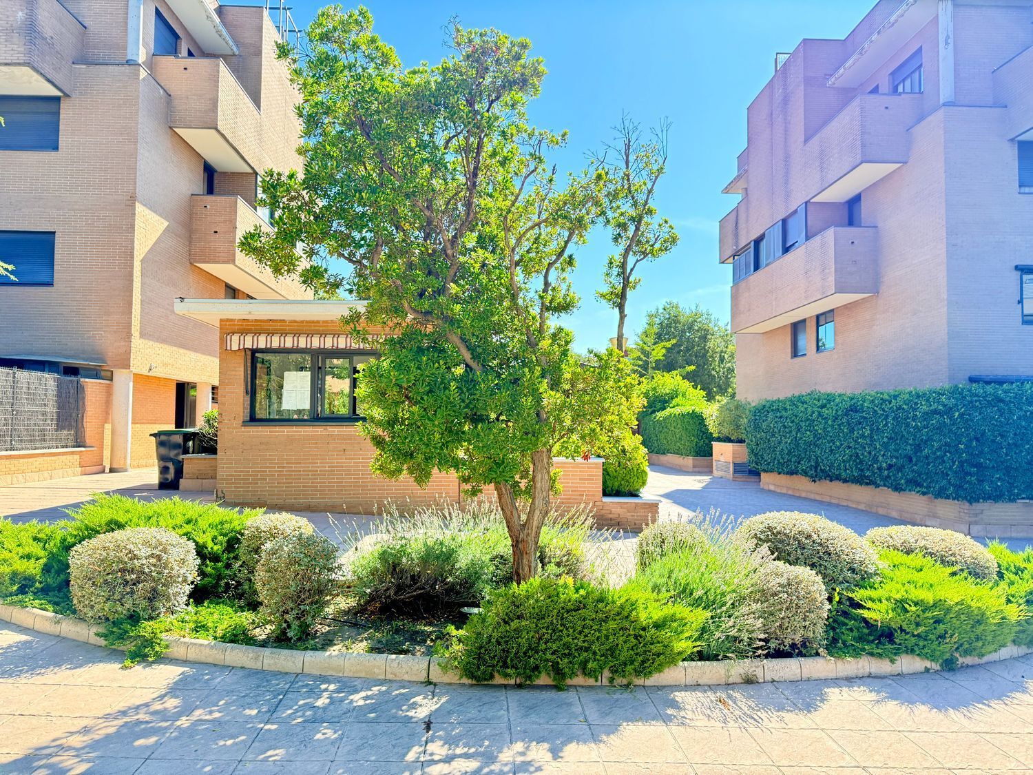 Pisos-Alquiler-Pozuelo de AlarcÃ³n-1792825-Foto-5