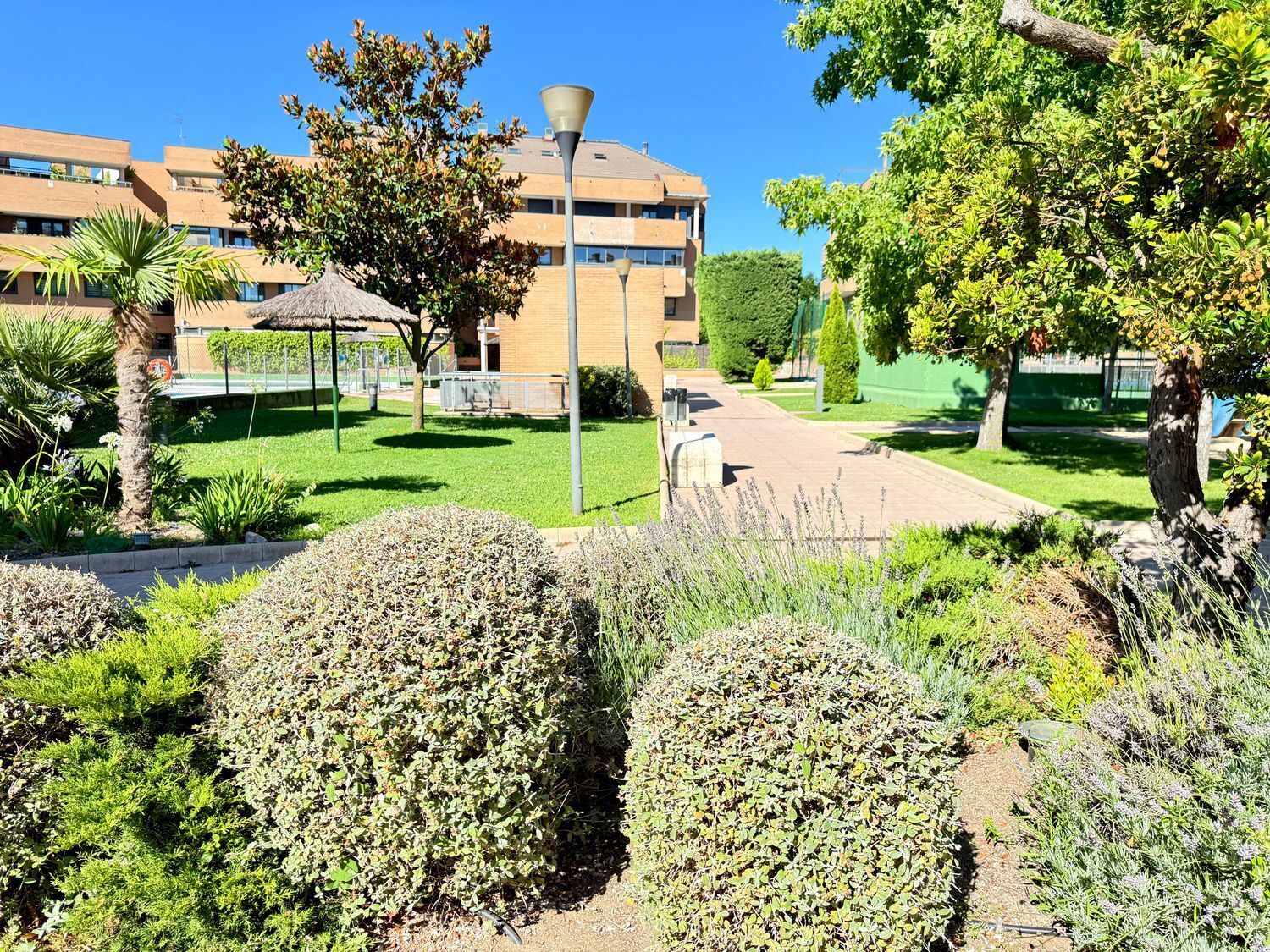 Pisos-Alquiler-Pozuelo de AlarcÃ³n-1792825-Foto-3