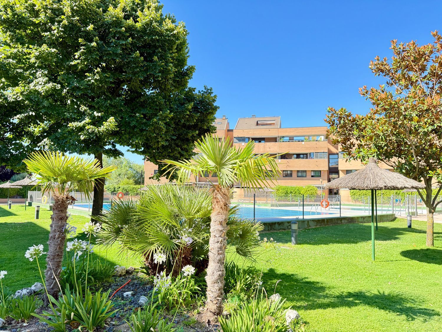 Pisos-Alquiler-Pozuelo de AlarcÃ³n-1792825-Foto-4