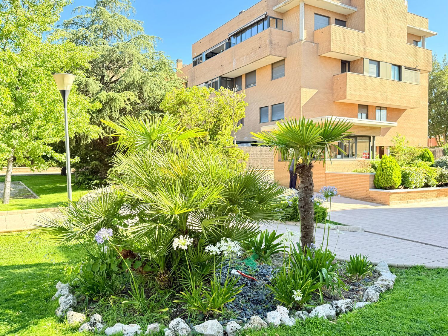 Pisos-Alquiler-Pozuelo de AlarcÃ³n-1792825-Foto-7