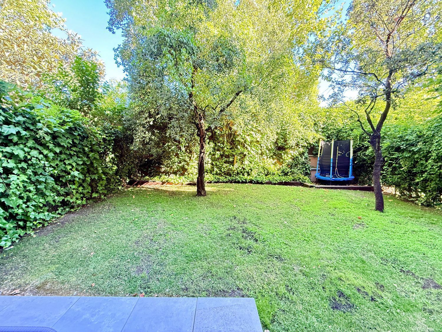 Pisos-Alquiler-Pozuelo de AlarcÃ³n-1792825-Foto-23