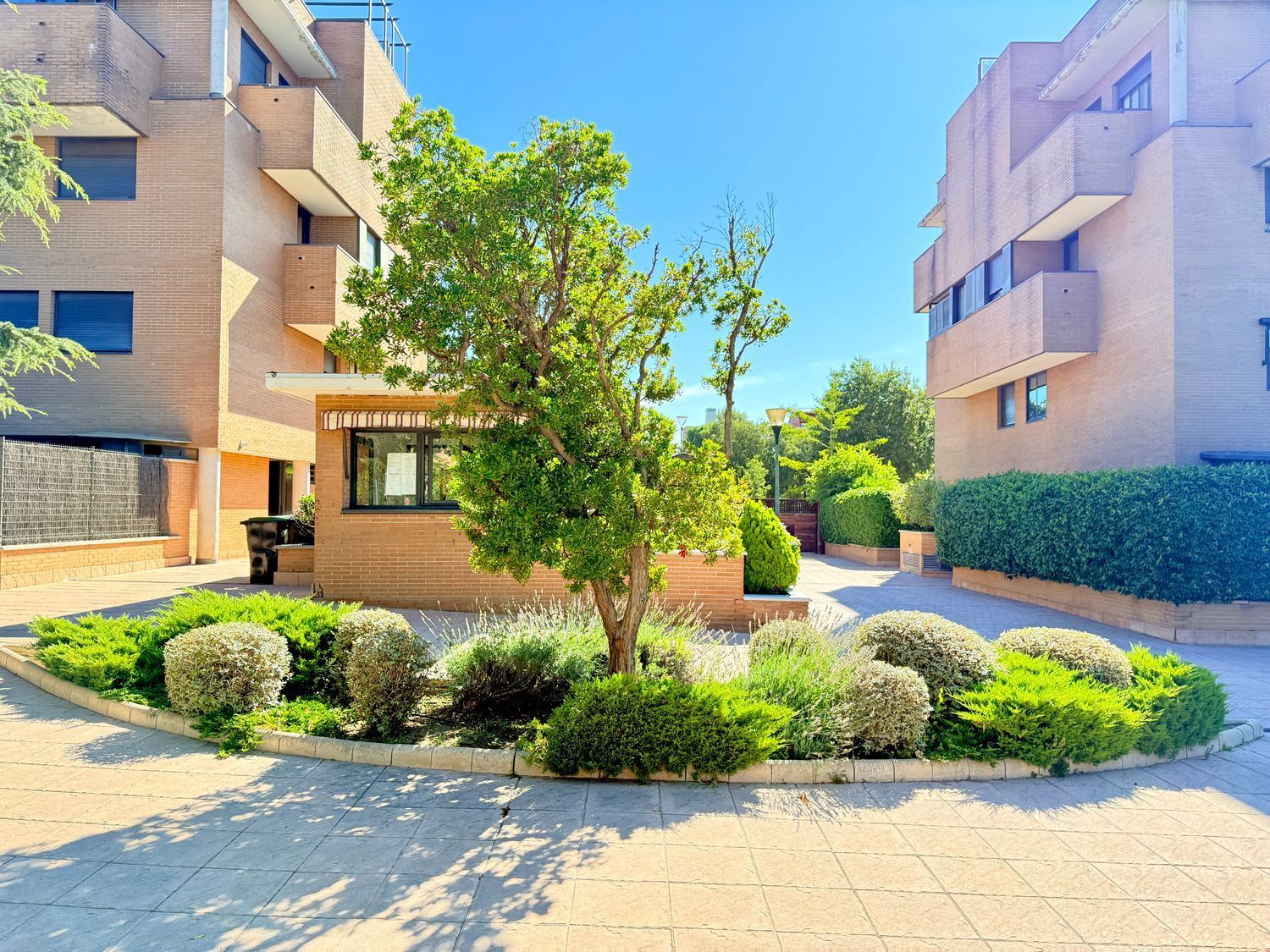 Pisos-Alquiler-Pozuelo de AlarcÃ³n-1792825-Foto-58