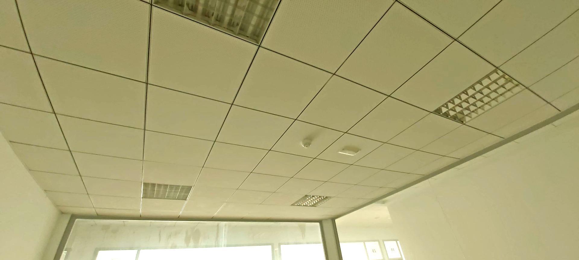 Oficinas-Venta-Bollullos de la MitaciÃ³n-1702968-Foto-9