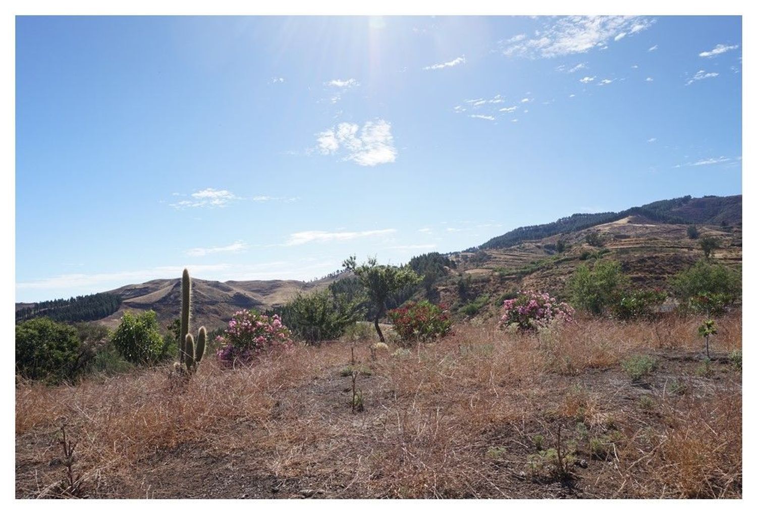 Fincas y solares-Venta-GÃ¡ldar-1793354-Foto-16