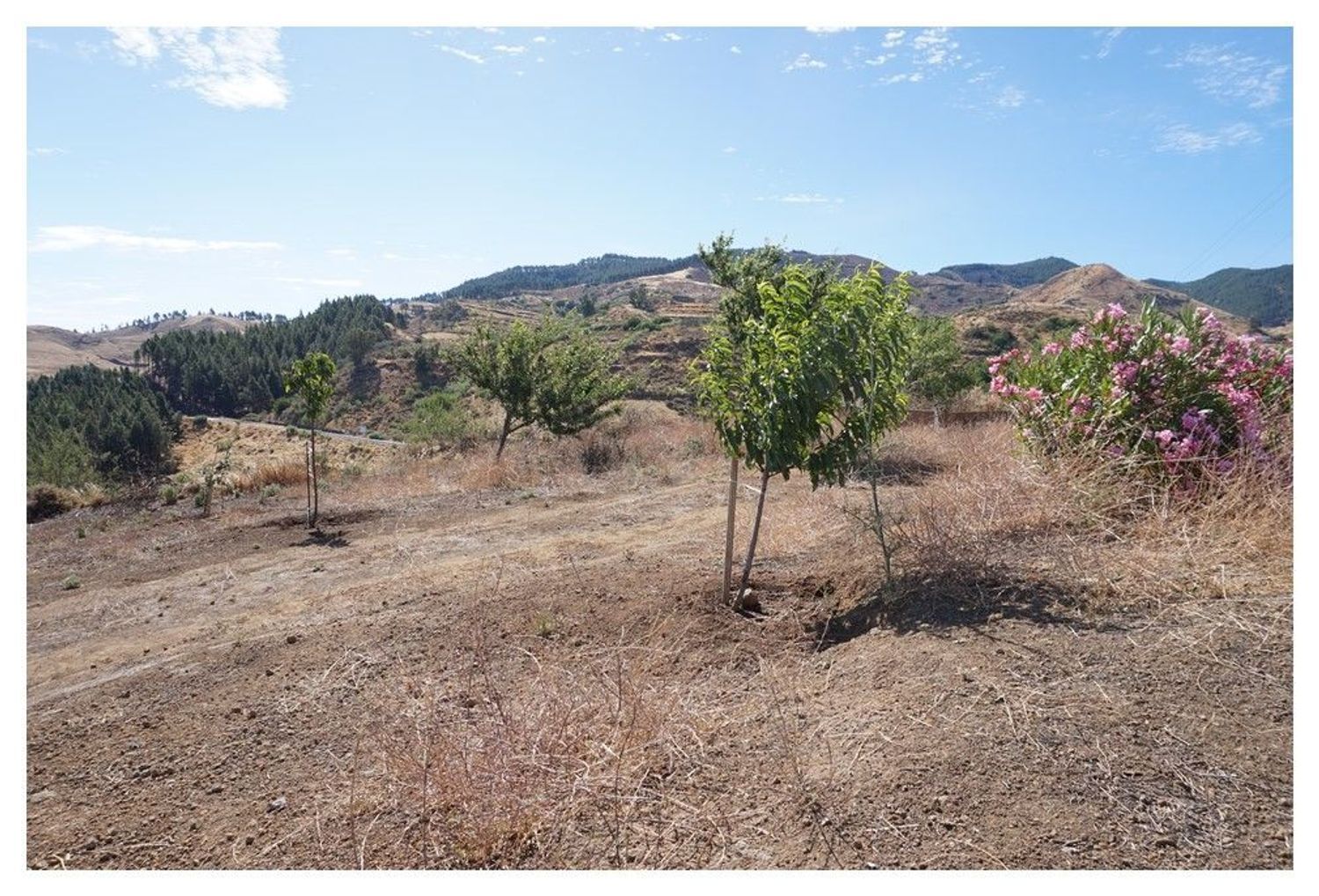 Fincas y solares-Venta-GÃ¡ldar-1793354-Foto-17
