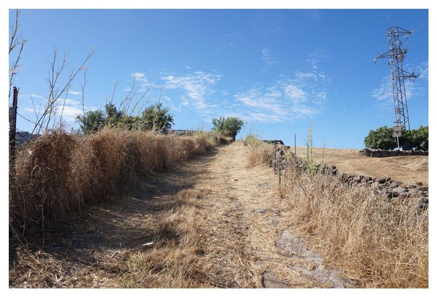 Fincas y solares-Venta-GÃ¡ldar-1793354-Foto-21