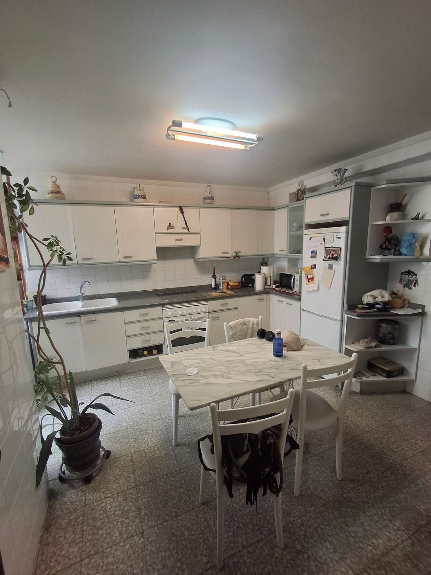 Pisos-Alquiler-Valladolid-1827881-Foto-12