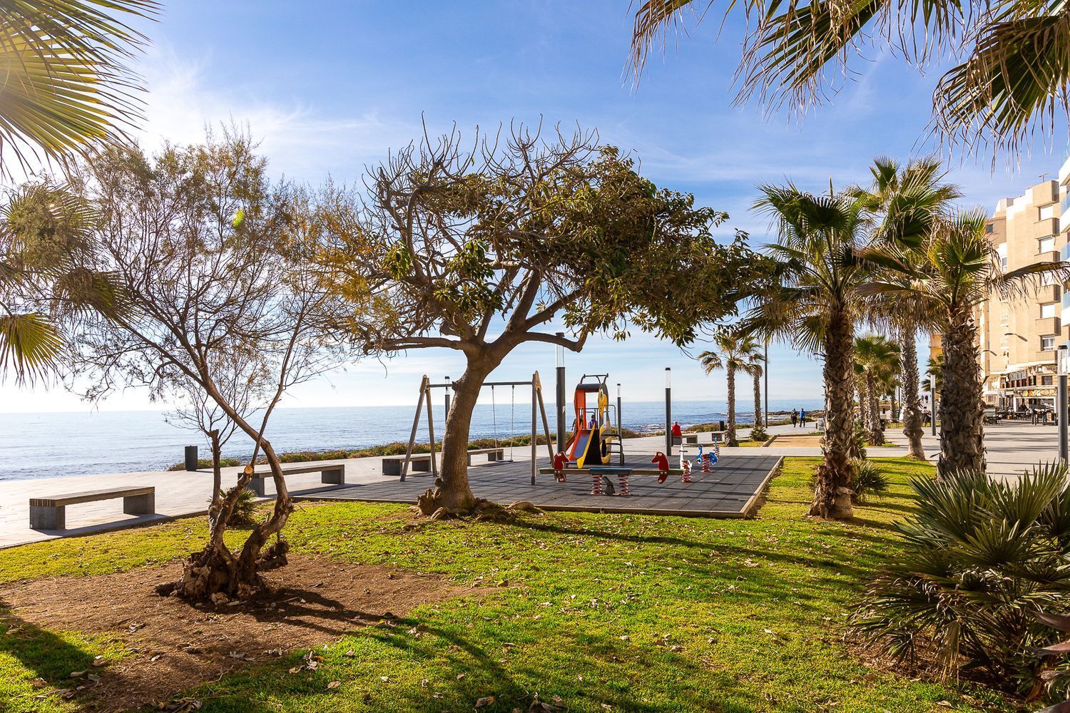Pisos-Venta-Torrevieja-1827941-Foto-52