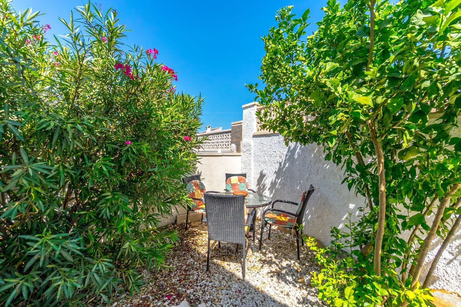 Casas o chalets-Venta-San Miguel de Salinas-1827890-Foto-21