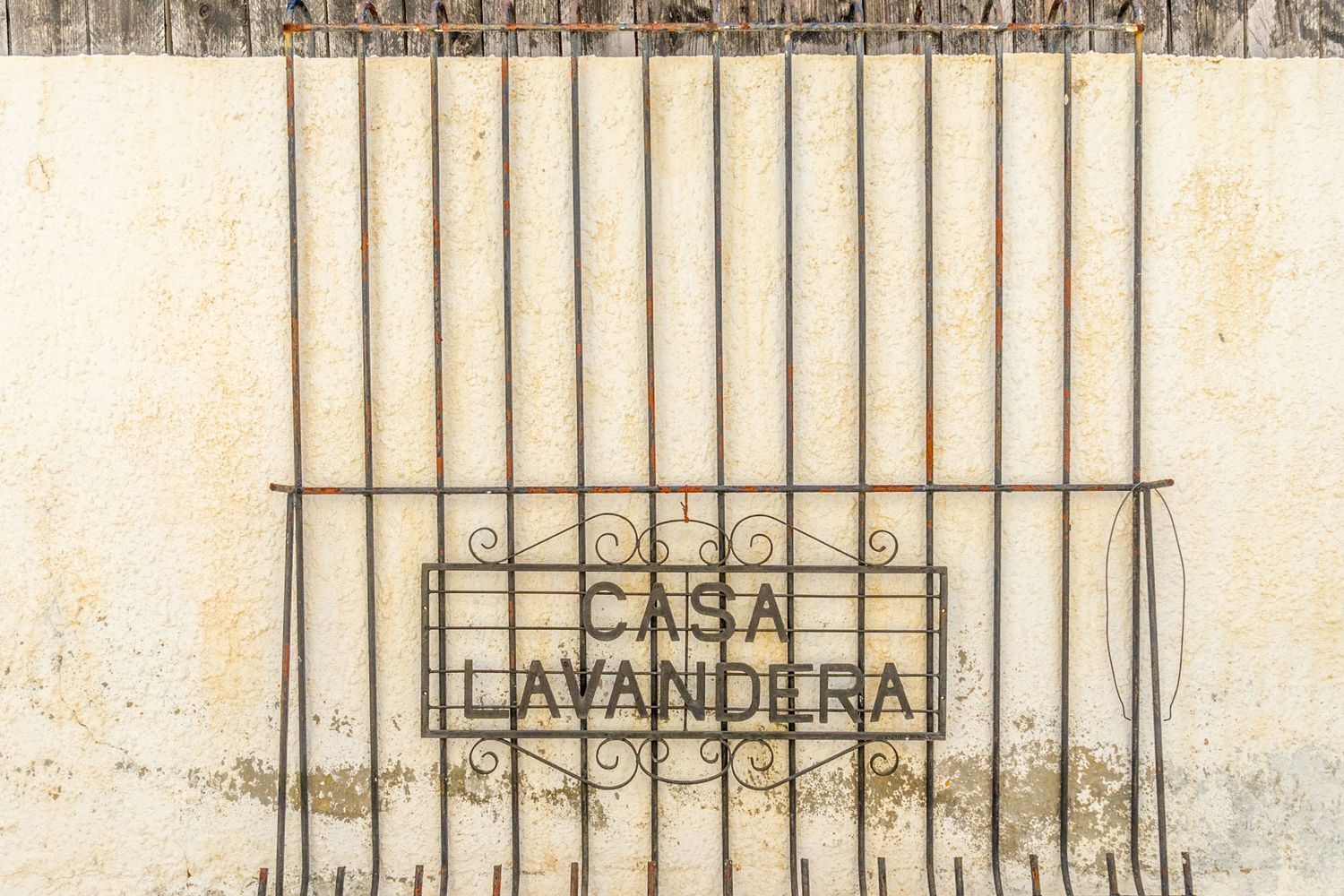 Casas o chalets-Venta-San Miguel de Salinas-1827890-Foto-41