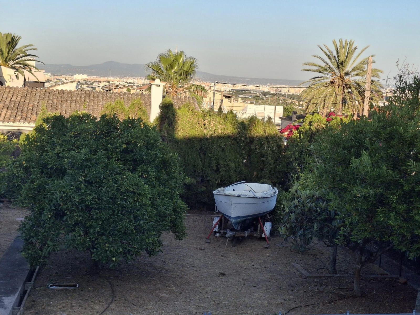 Fincas y solares-Venta-Palma de Mallorca-1827902