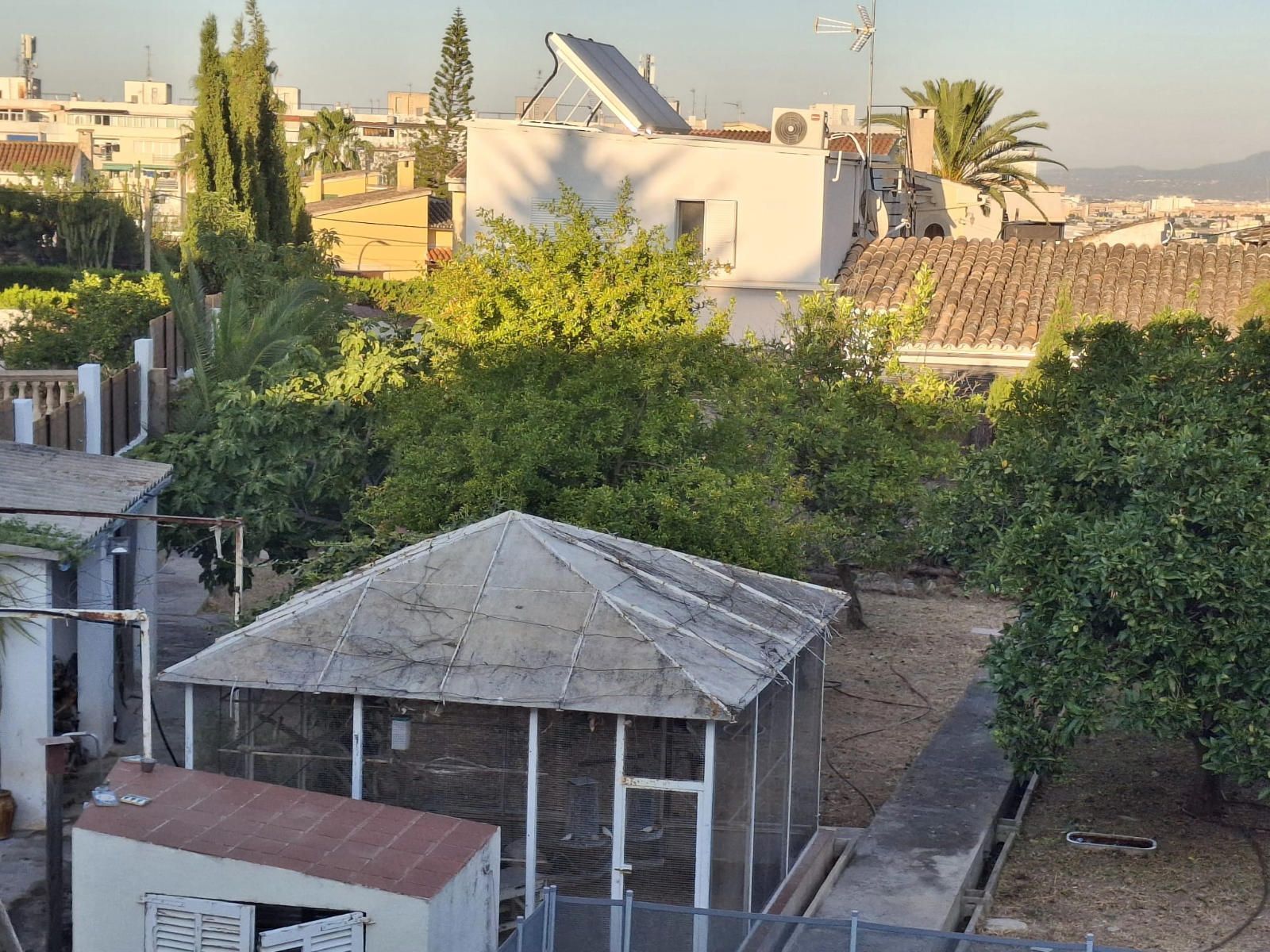 Fincas y solares-Venta-Palma de Mallorca-1827902-Foto-2