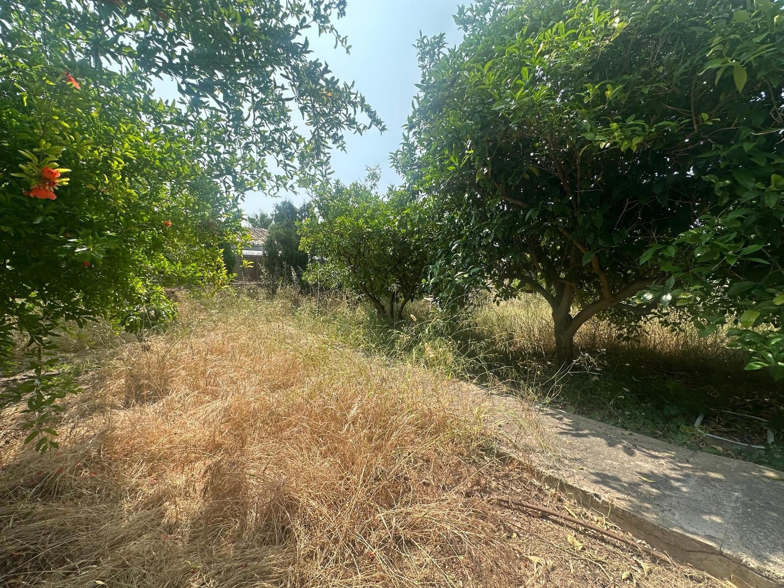 Fincas y solares-Venta-Palma de Mallorca-1827902-Foto-3