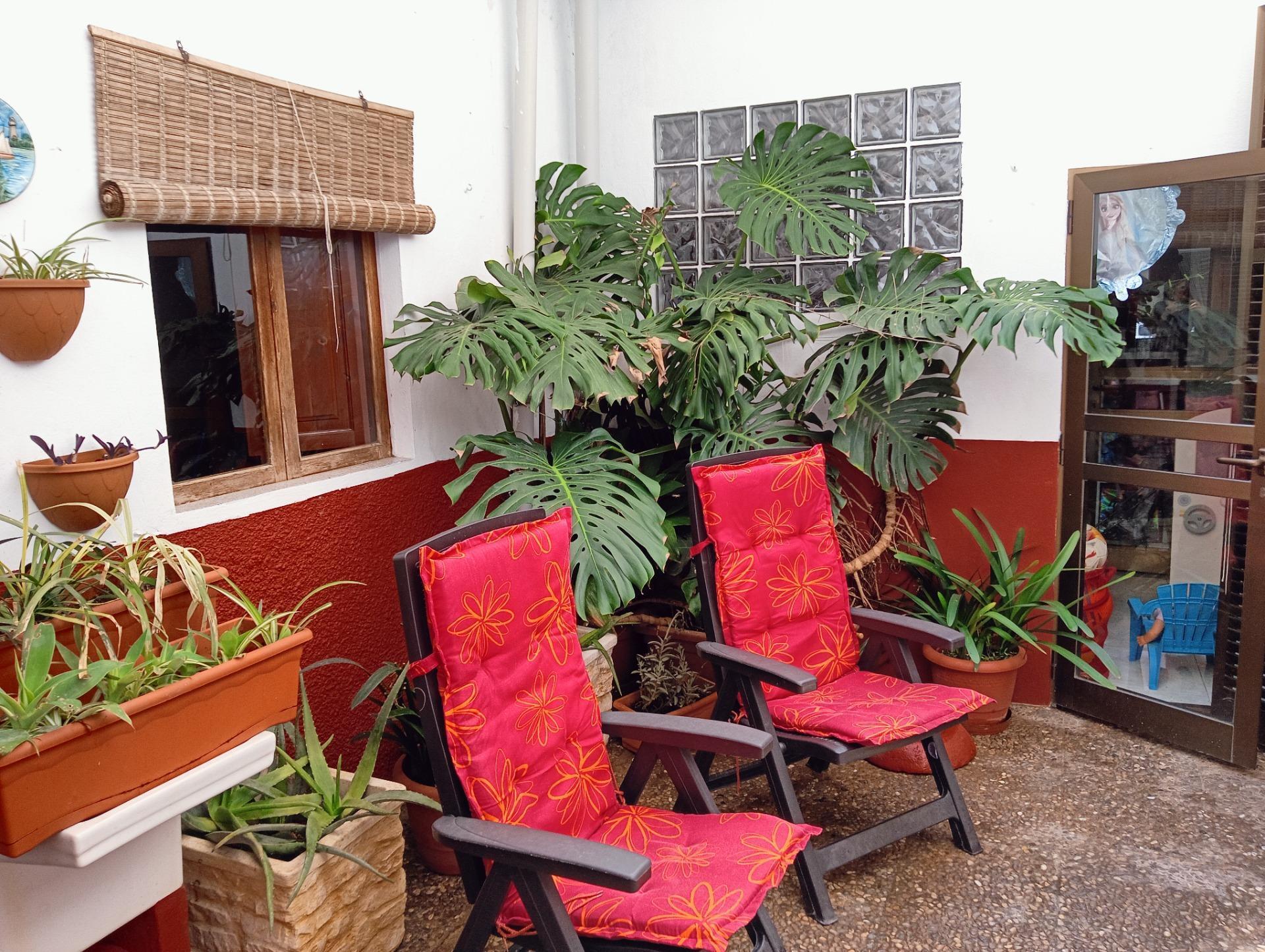 Casas o chalets-Venta-Manacor-1827914-Foto-15