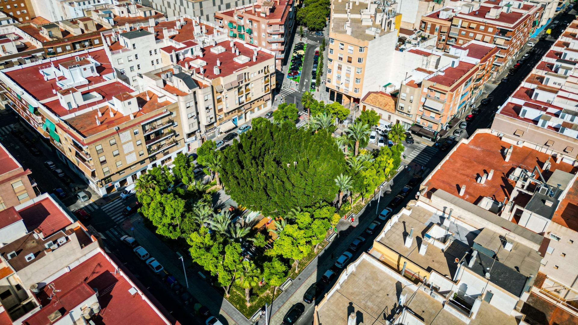 Negocios-Venta-Elche-1827917-Foto-4