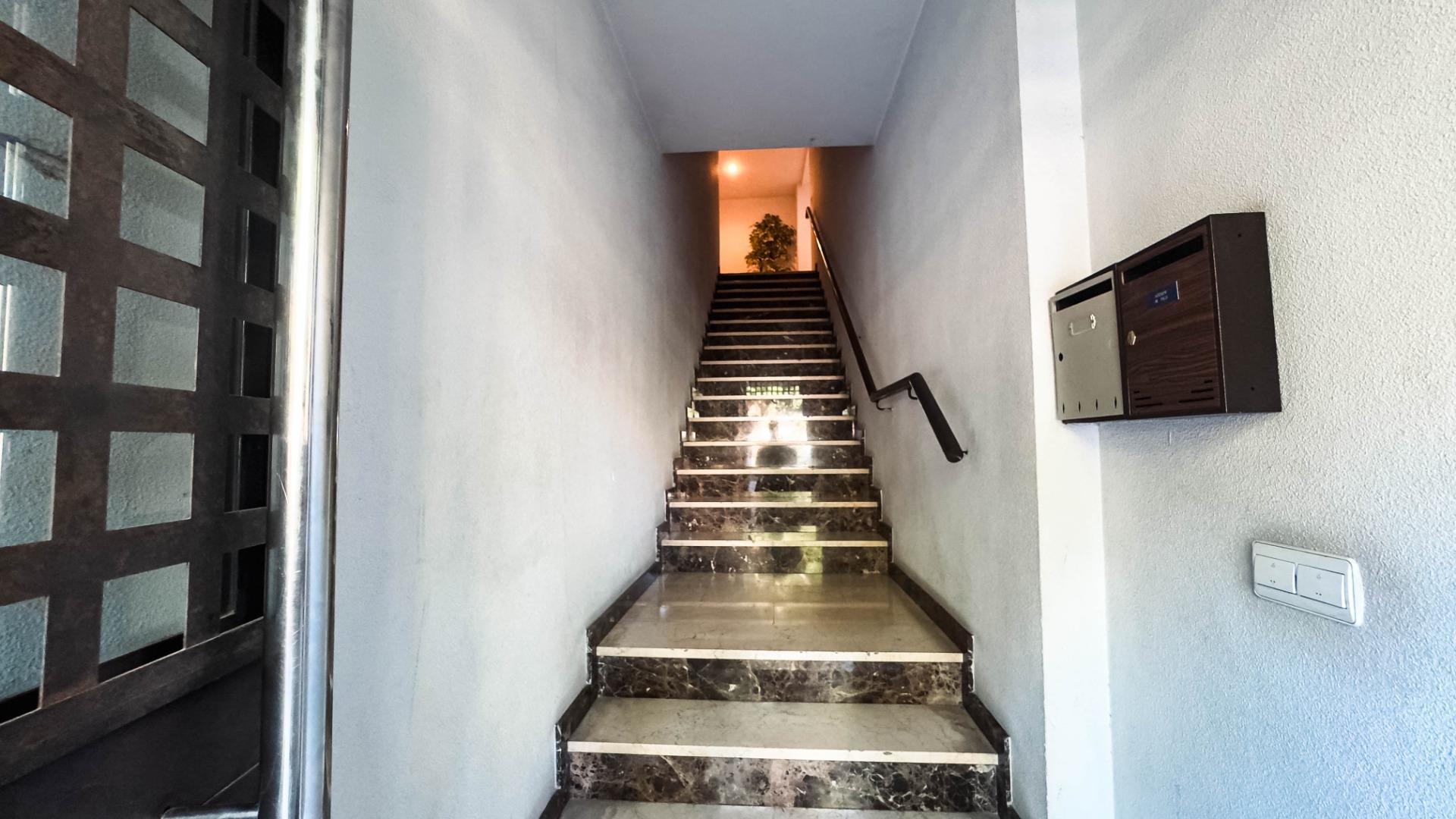Negocios-Venta-Elche-1827917-Foto-9