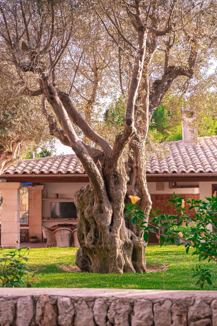 Casas o chalets-Venta-Capdepera-1900505-Foto-12