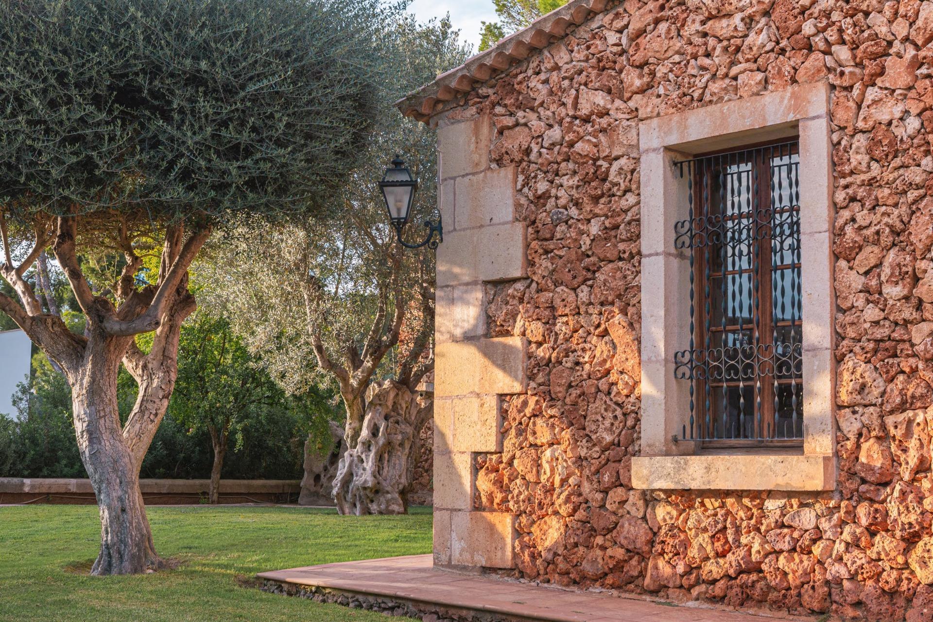 Casas o chalets-Alquiler-Capdepera-1748230-Foto-11