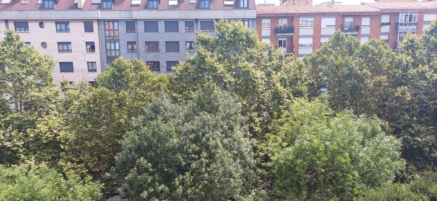 Pisos-Venta-GijÃ³n-1791177-Foto-13