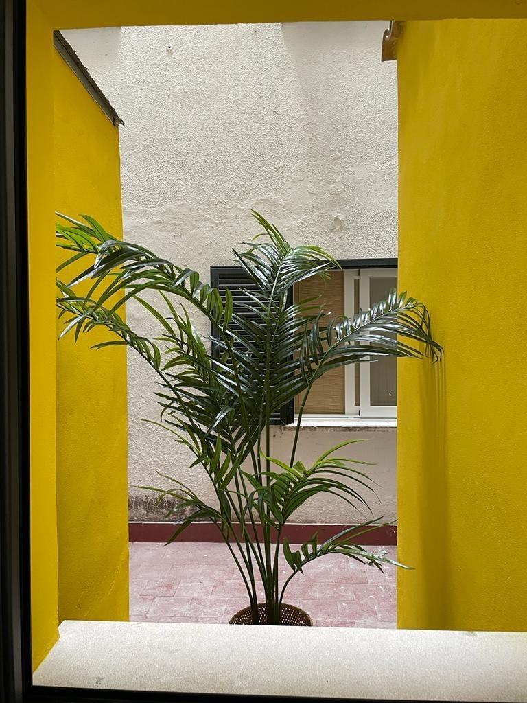 Pisos-Venta-Palma de Mallorca-1905090-Foto-15