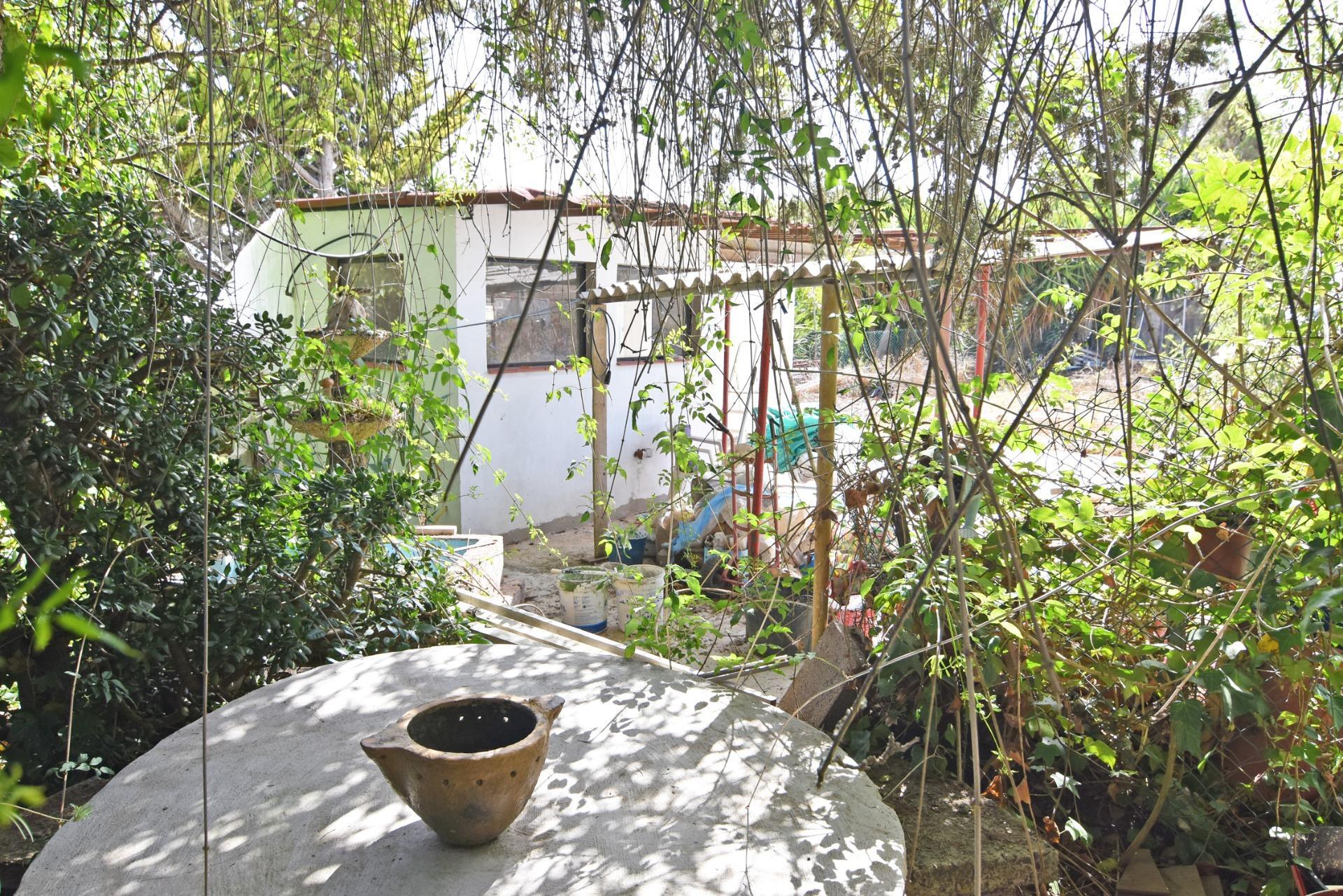 Pisos-Venta-Las Palmas de Gran Canaria-1827983-Foto-46