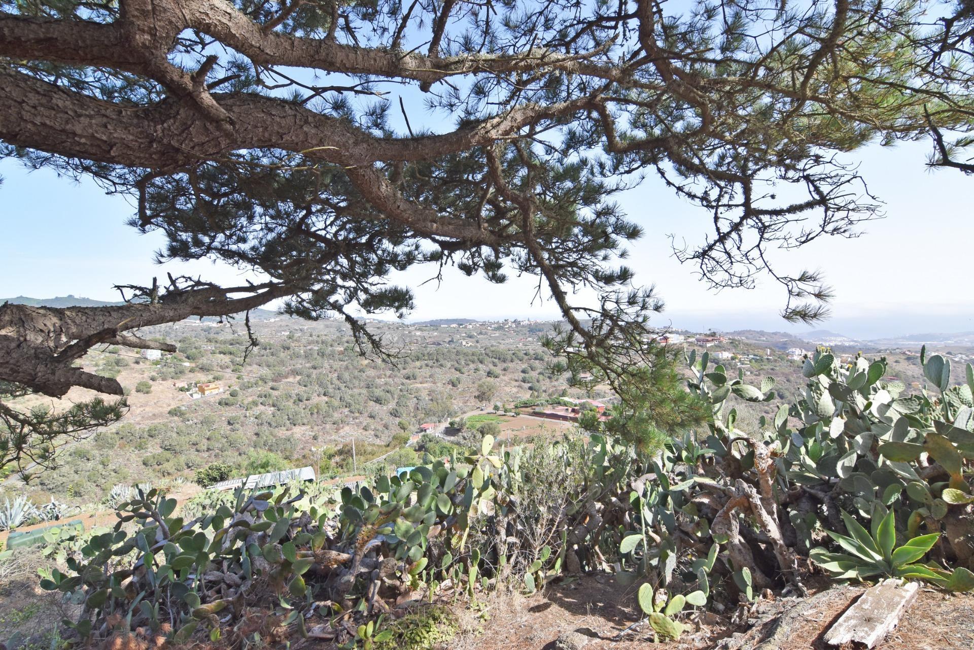 Pisos-Venta-Las Palmas de Gran Canaria-1827983-Foto-53