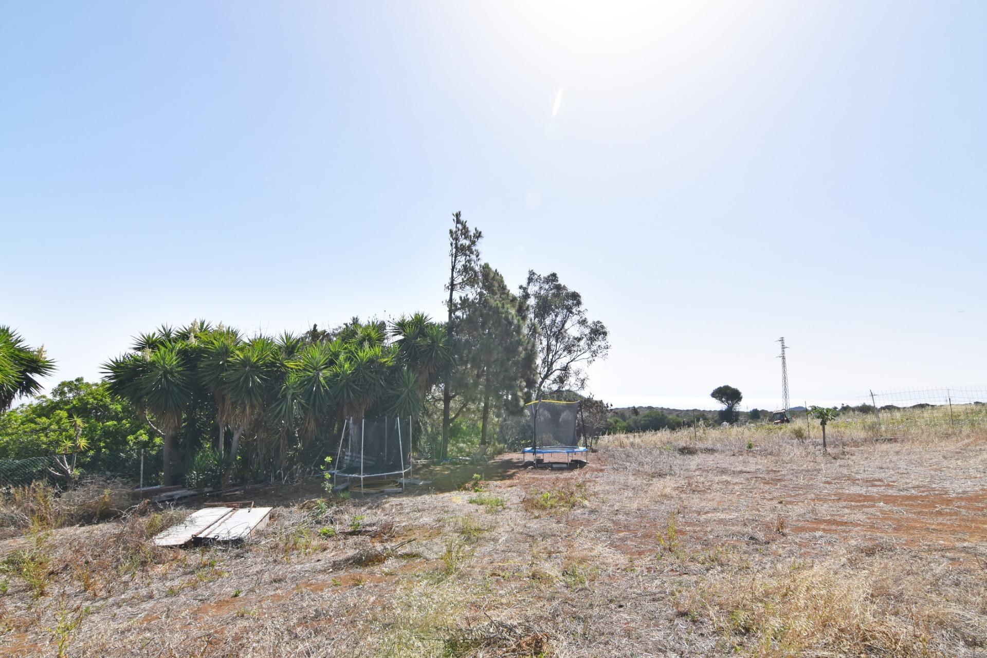 Pisos-Venta-Las Palmas de Gran Canaria-1827983-Foto-56
