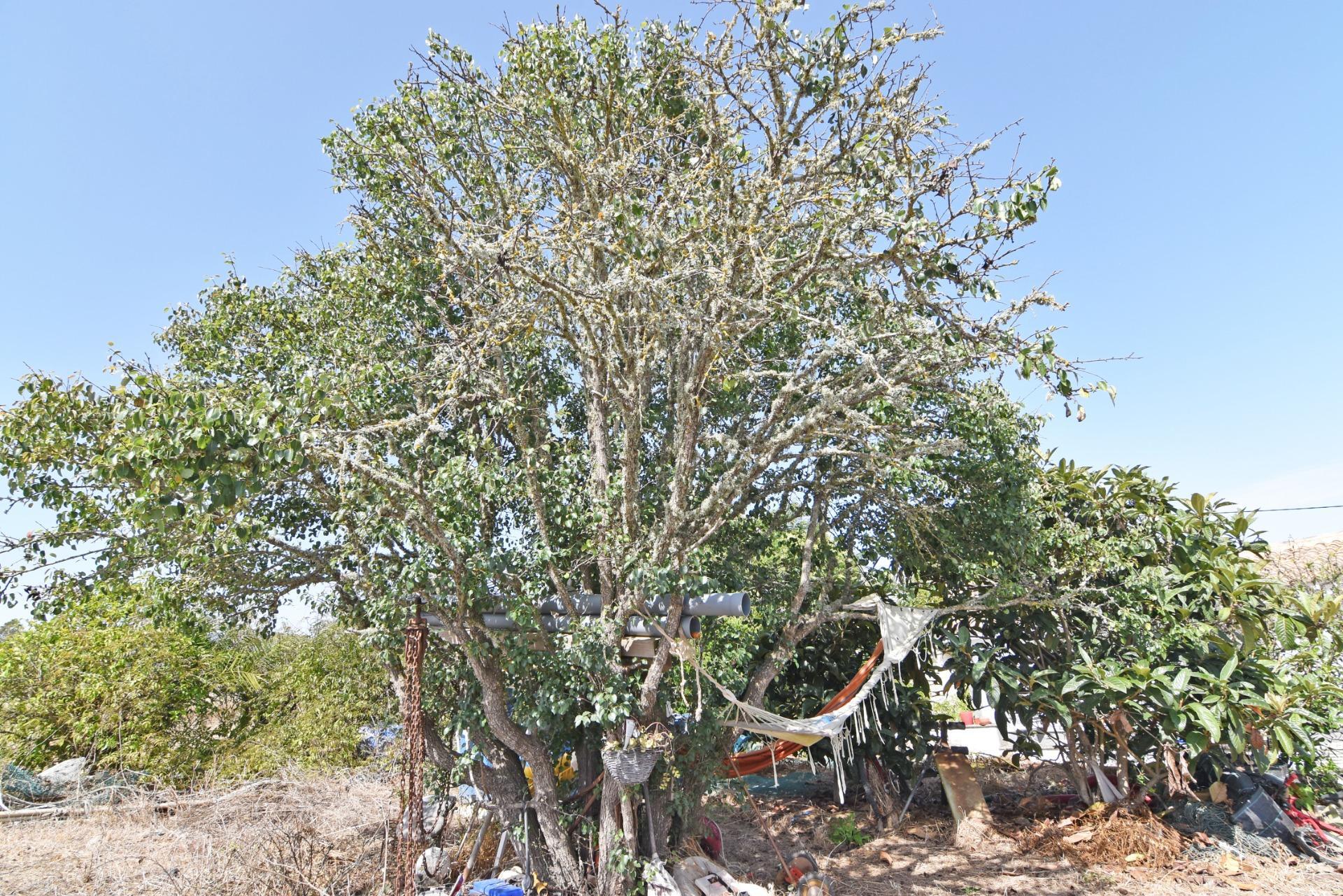 Pisos-Venta-Las Palmas de Gran Canaria-1827983-Foto-57