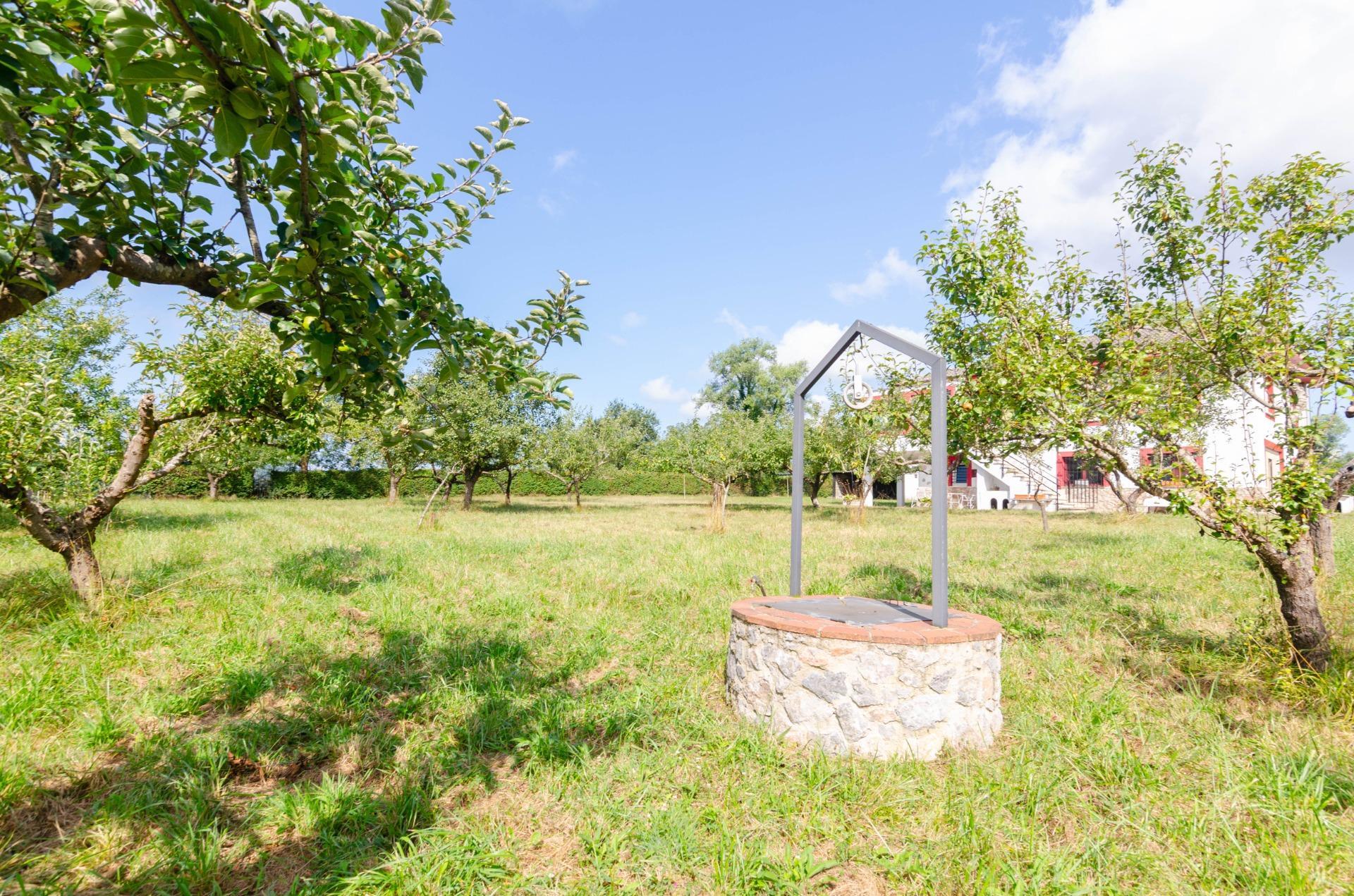 Casas o chalets-Venta-Oviedo-1827977-Foto-40