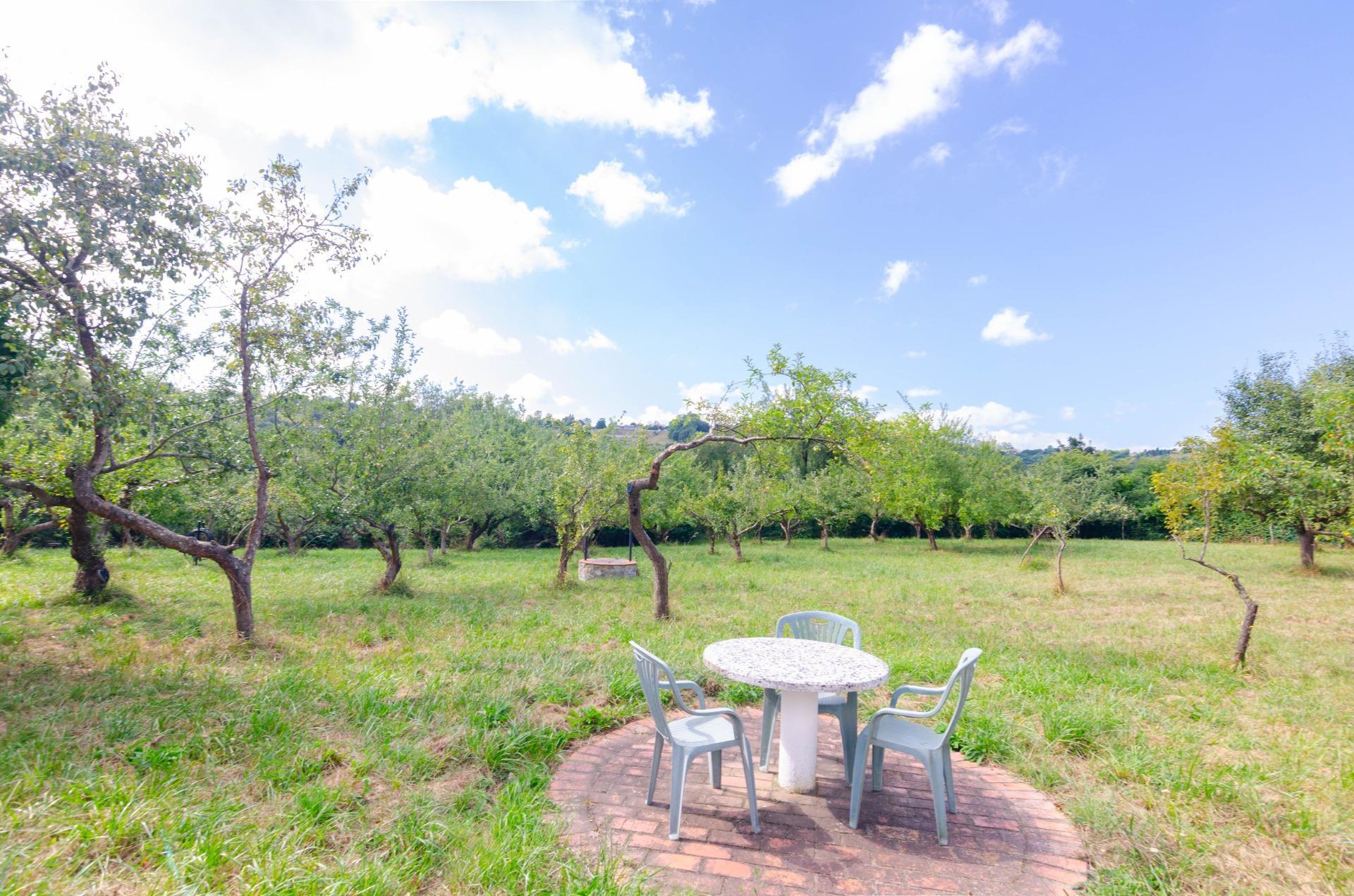 Casas o chalets-Venta-Oviedo-1827977-Foto-41