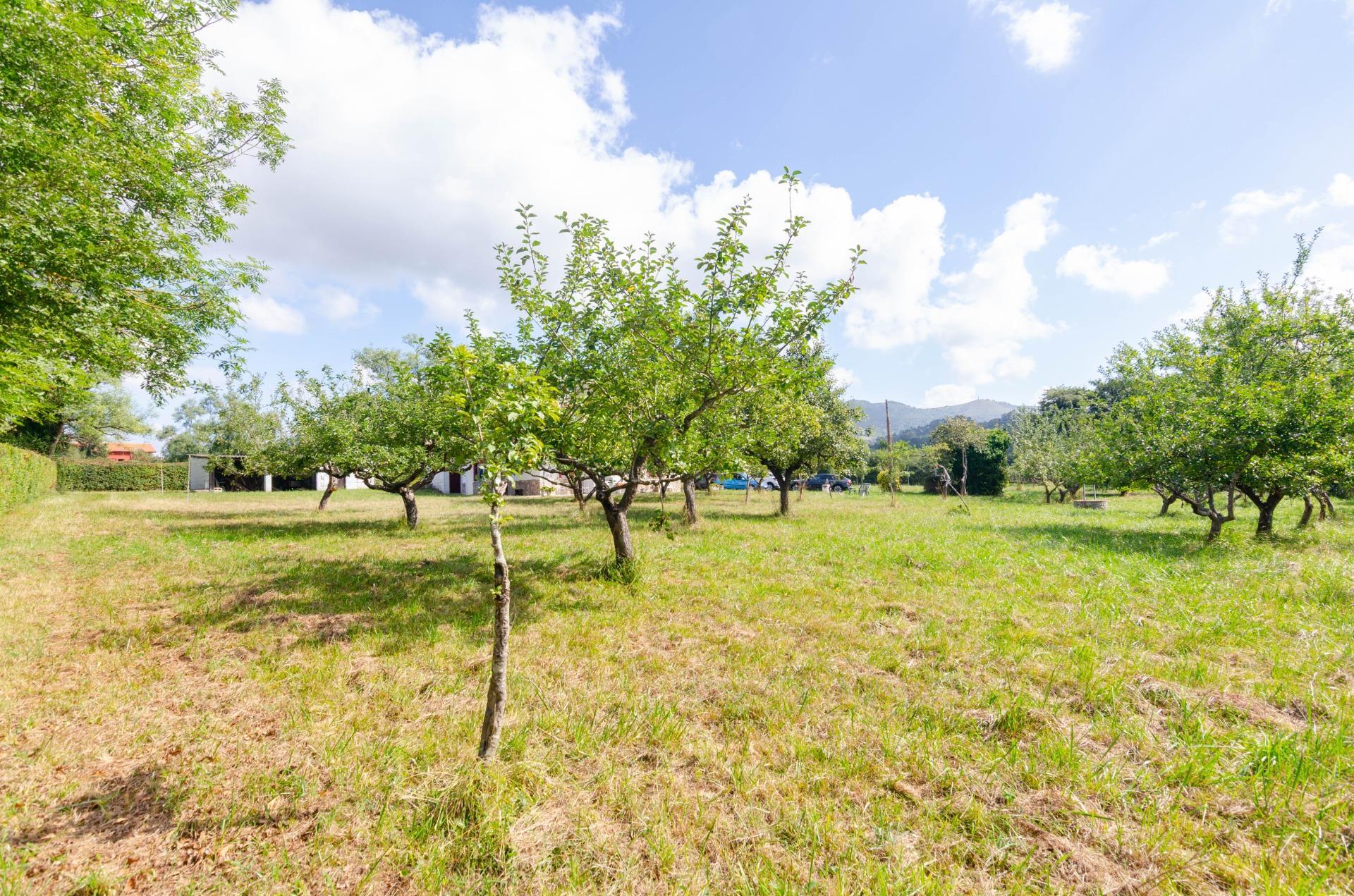 Casas o chalets-Venta-Oviedo-1827977-Foto-43