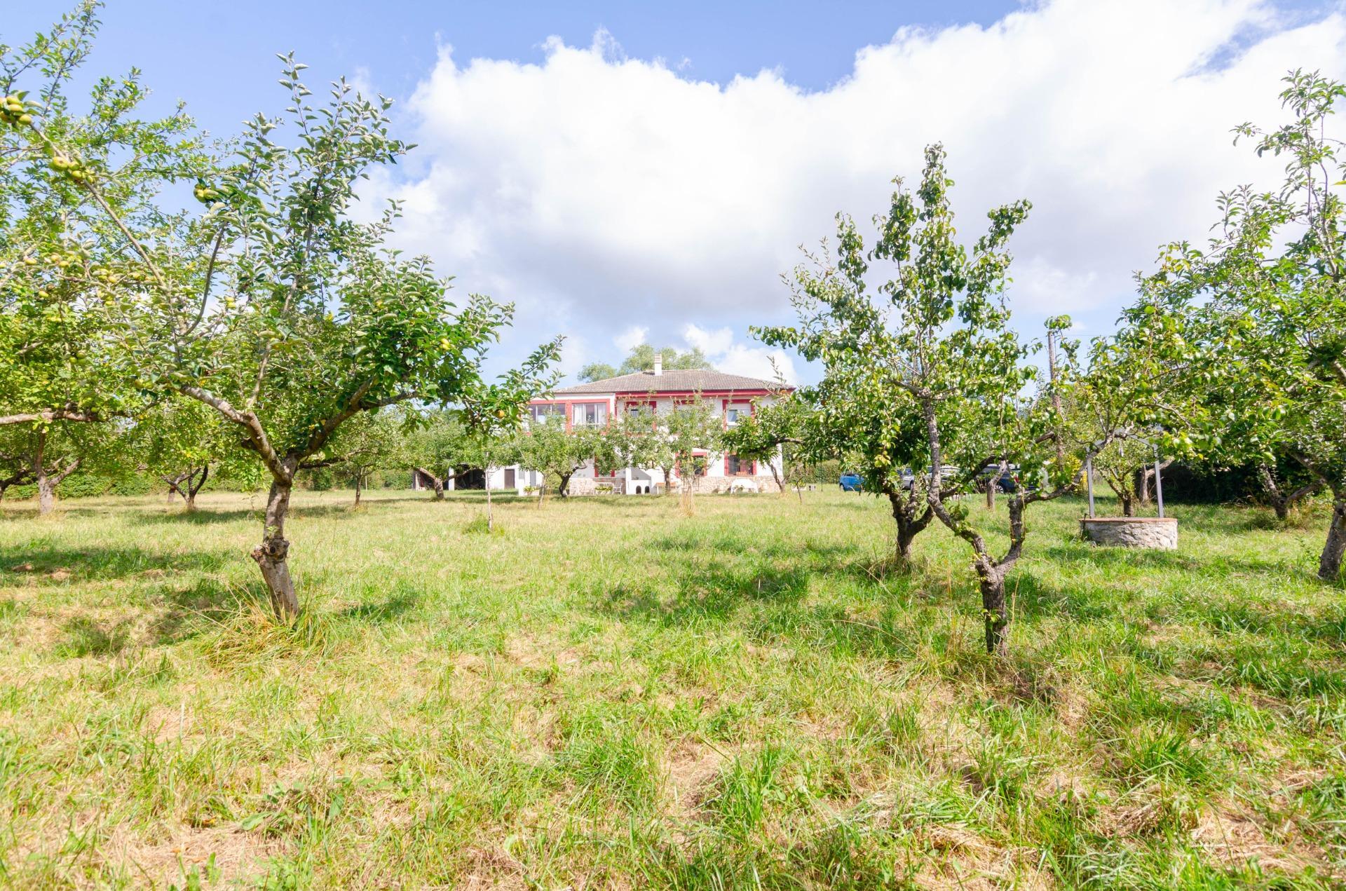 Casas o chalets-Venta-Oviedo-1827977-Foto-39