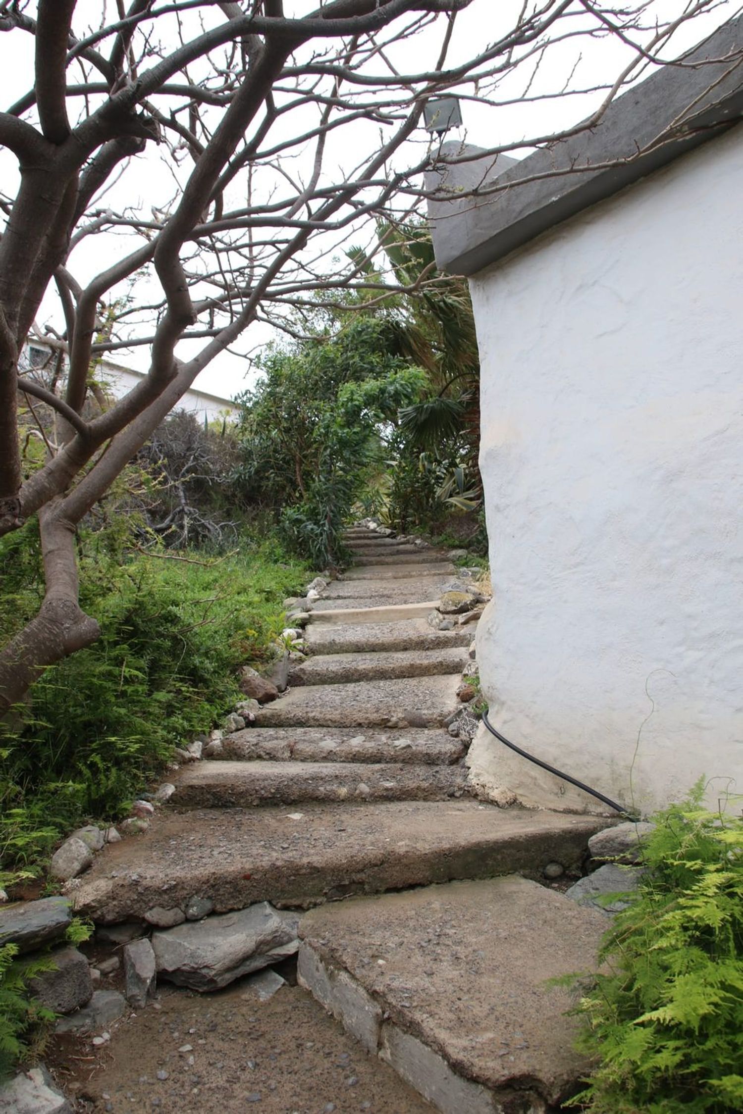 Fincas y solares-Venta-Las Palmas de Gran Canaria-1828327-Foto-6