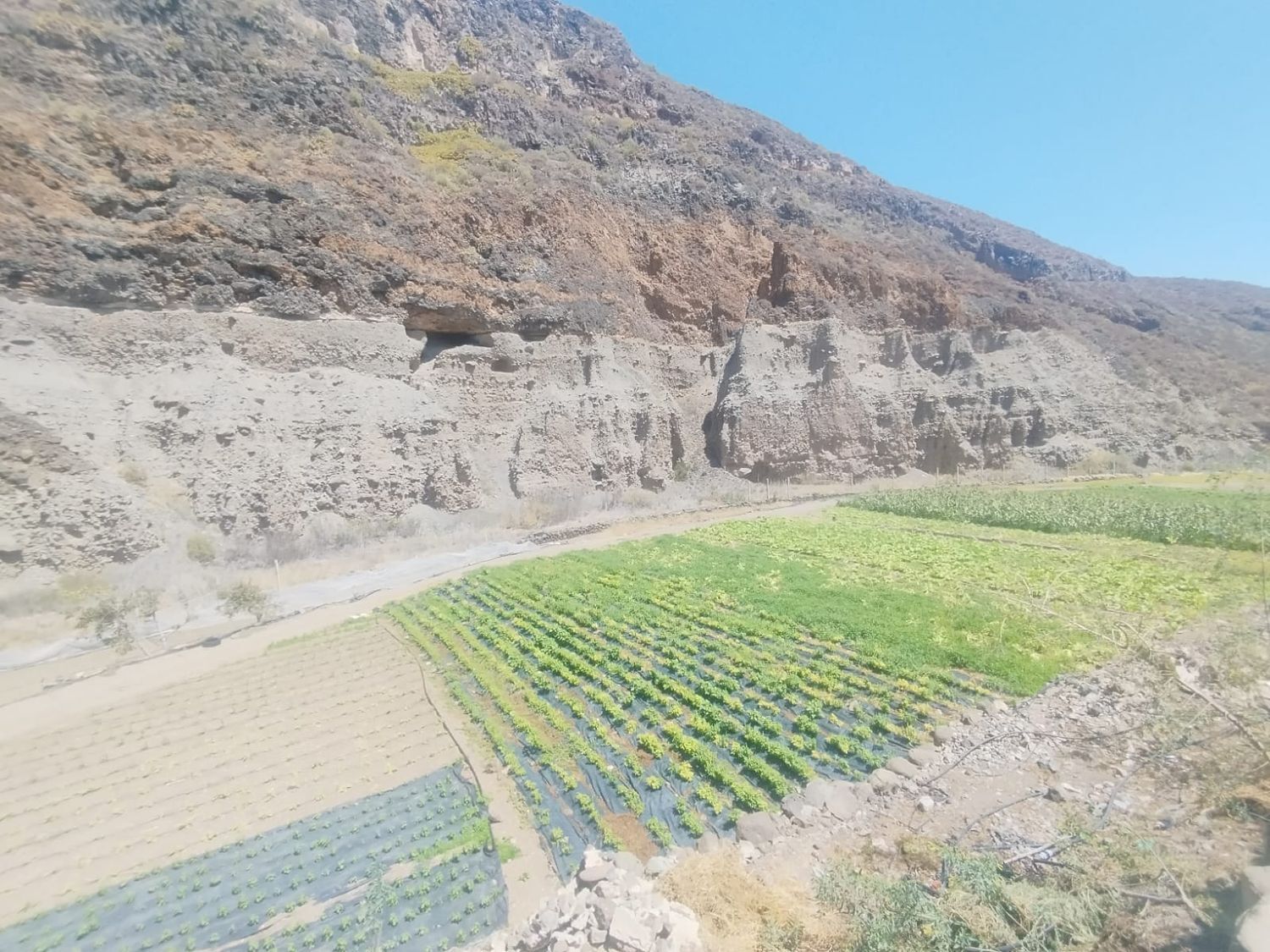 Fincas y solares-Venta-Las Palmas de Gran Canaria-1828327-Foto-9