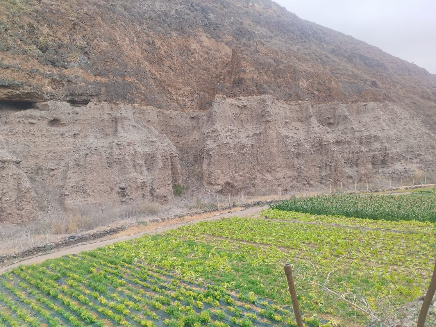Fincas y solares-Venta-Las Palmas de Gran Canaria-1828327-Foto-13