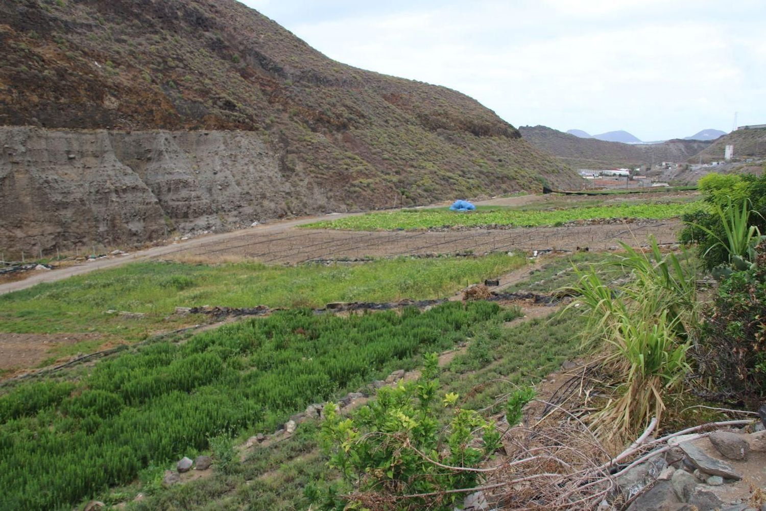 Fincas y solares-Venta-Las Palmas de Gran Canaria-1828327-Foto-24