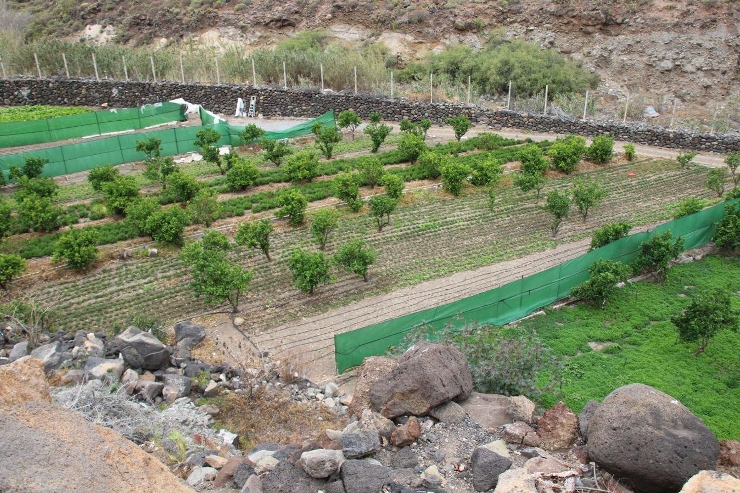 Fincas y solares-Venta-Las Palmas de Gran Canaria-1828327-Foto-28