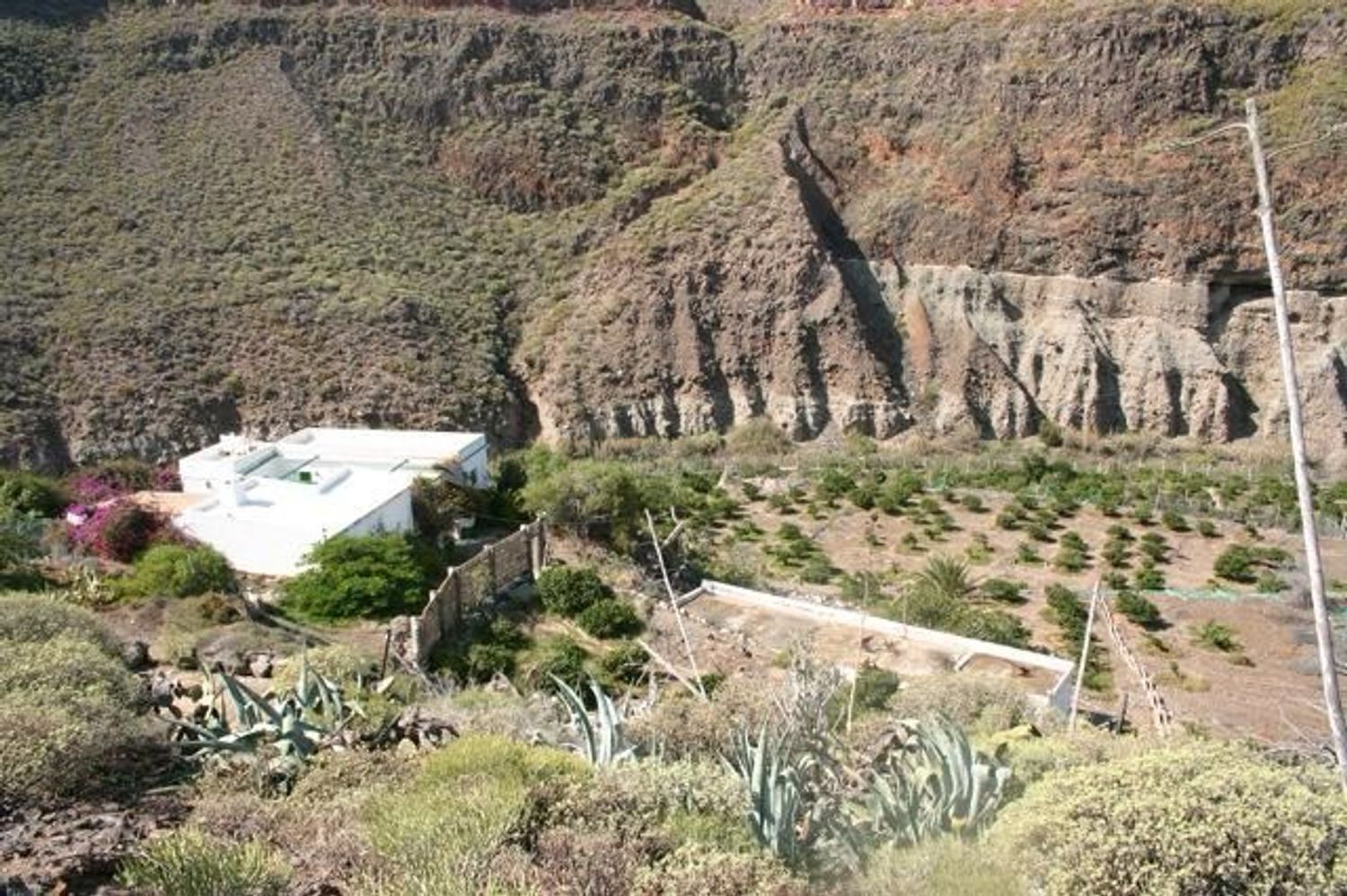Casas o chalets-Venta-Las Palmas de Gran Canaria-1791746-Foto-3
