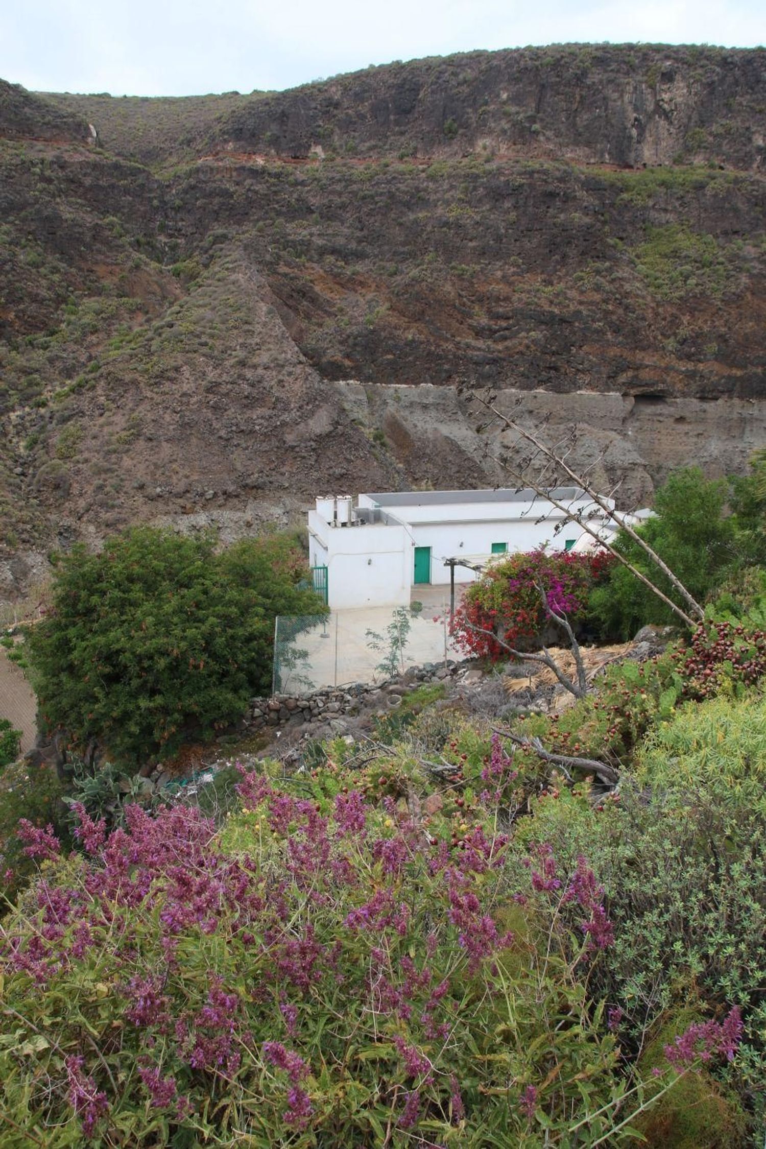 Casas o chalets-Venta-Las Palmas de Gran Canaria-1791746-Foto-4
