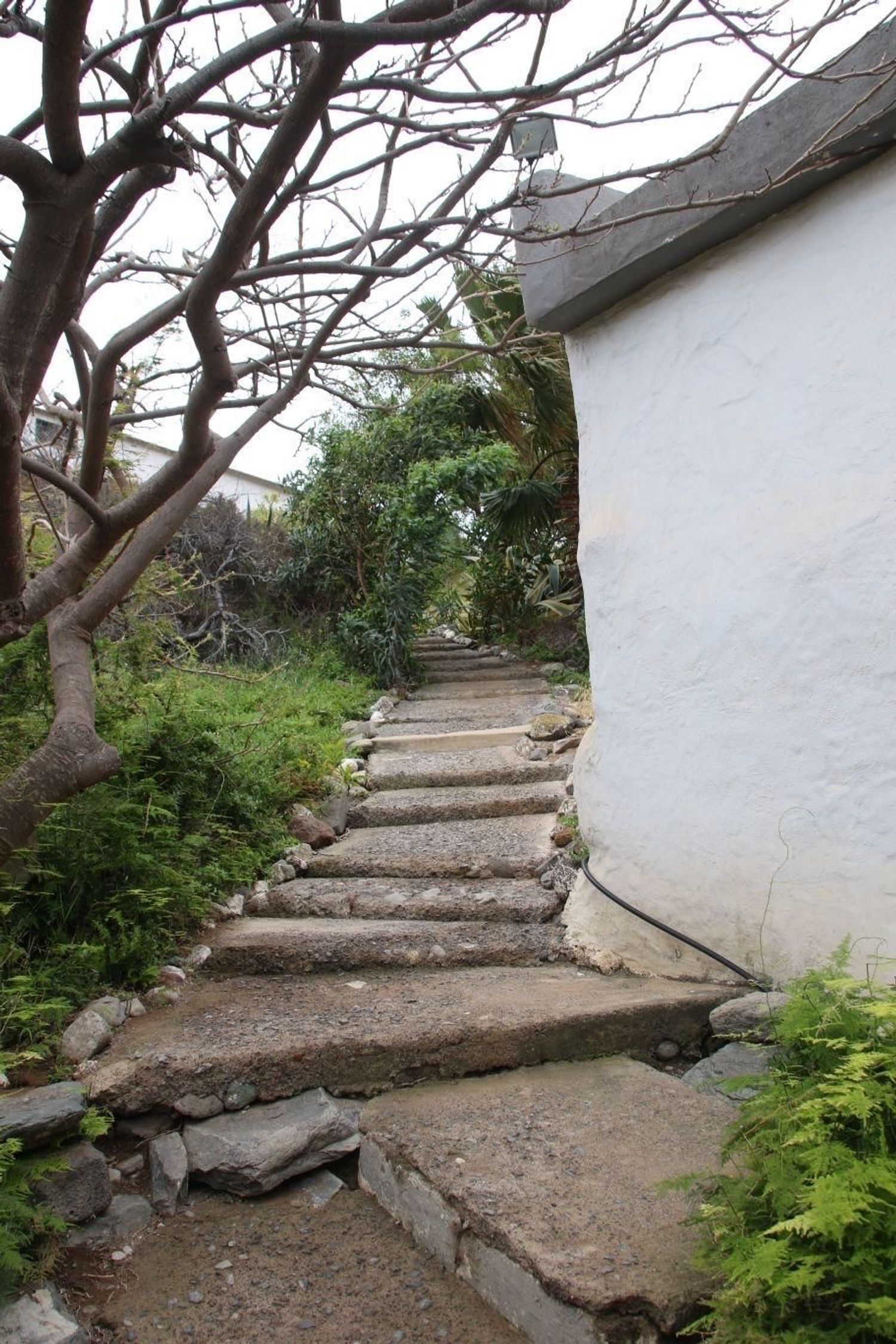 Casas o chalets-Venta-Las Palmas de Gran Canaria-1791746-Foto-6
