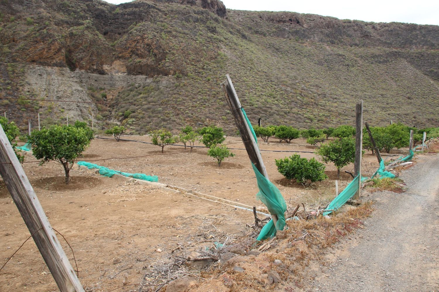 Casas o chalets-Venta-Las Palmas de Gran Canaria-1791746-Foto-13
