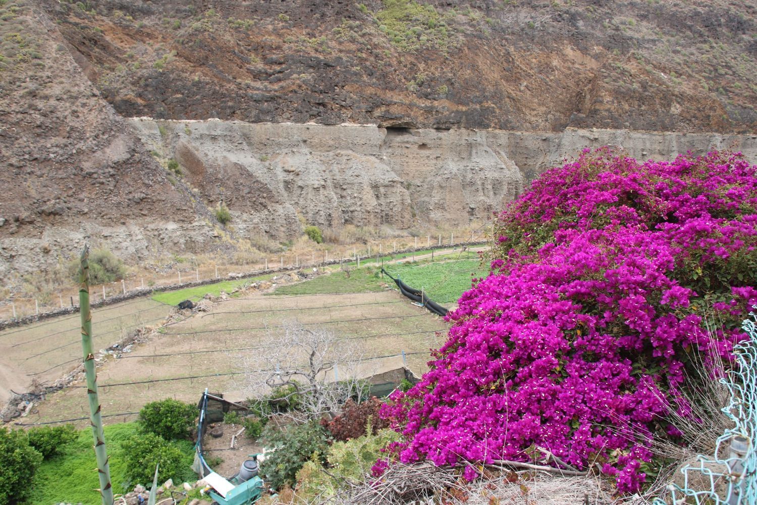 Casas o chalets-Venta-Las Palmas de Gran Canaria-1791746-Foto-15