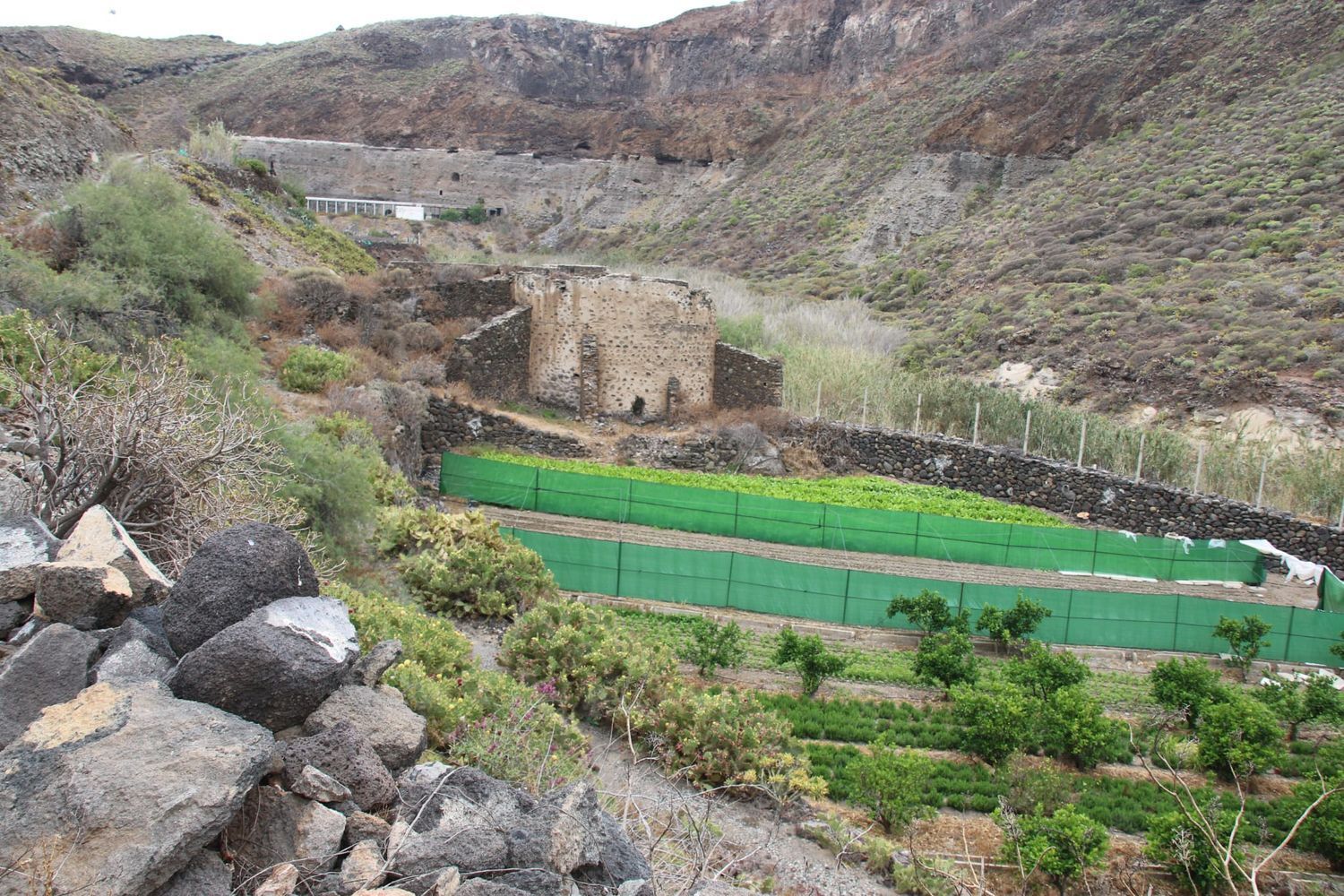 Casas o chalets-Venta-Las Palmas de Gran Canaria-1791746-Foto-16