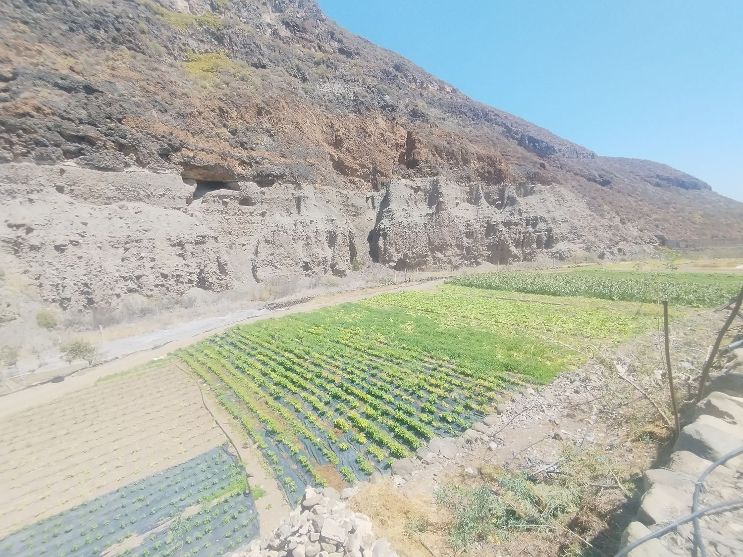 Casas o chalets-Venta-Las Palmas de Gran Canaria-1791746-Foto-18