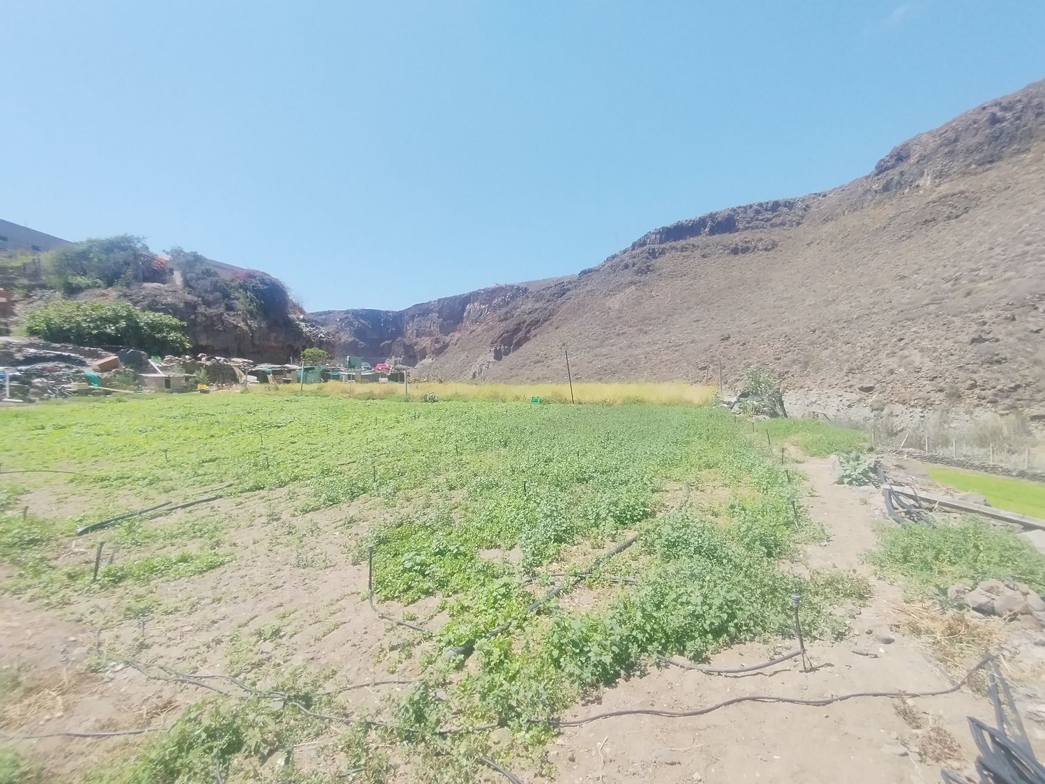Casas o chalets-Venta-Las Palmas de Gran Canaria-1791746-Foto-19