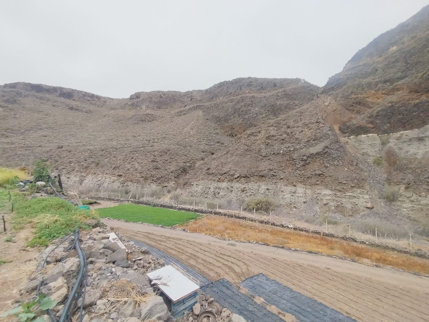 Casas o chalets-Venta-Las Palmas de Gran Canaria-1791746-Foto-22